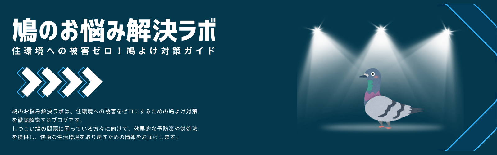 鳩のお悩み解決ラボ