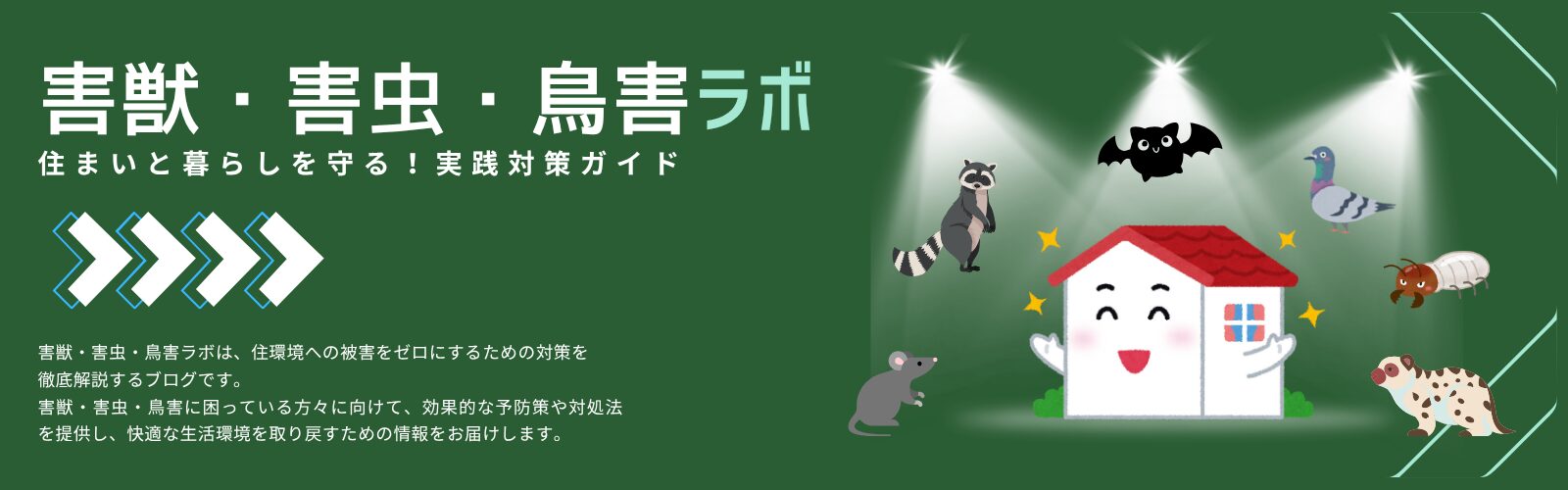 鳩のお悩み解決ラボ