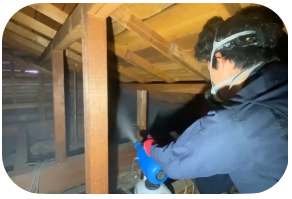 害獣駆除作業を行う作業員