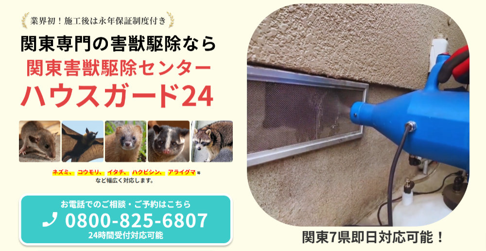 関東7県対応の害獣駆除専門業者『ハウスガード24』