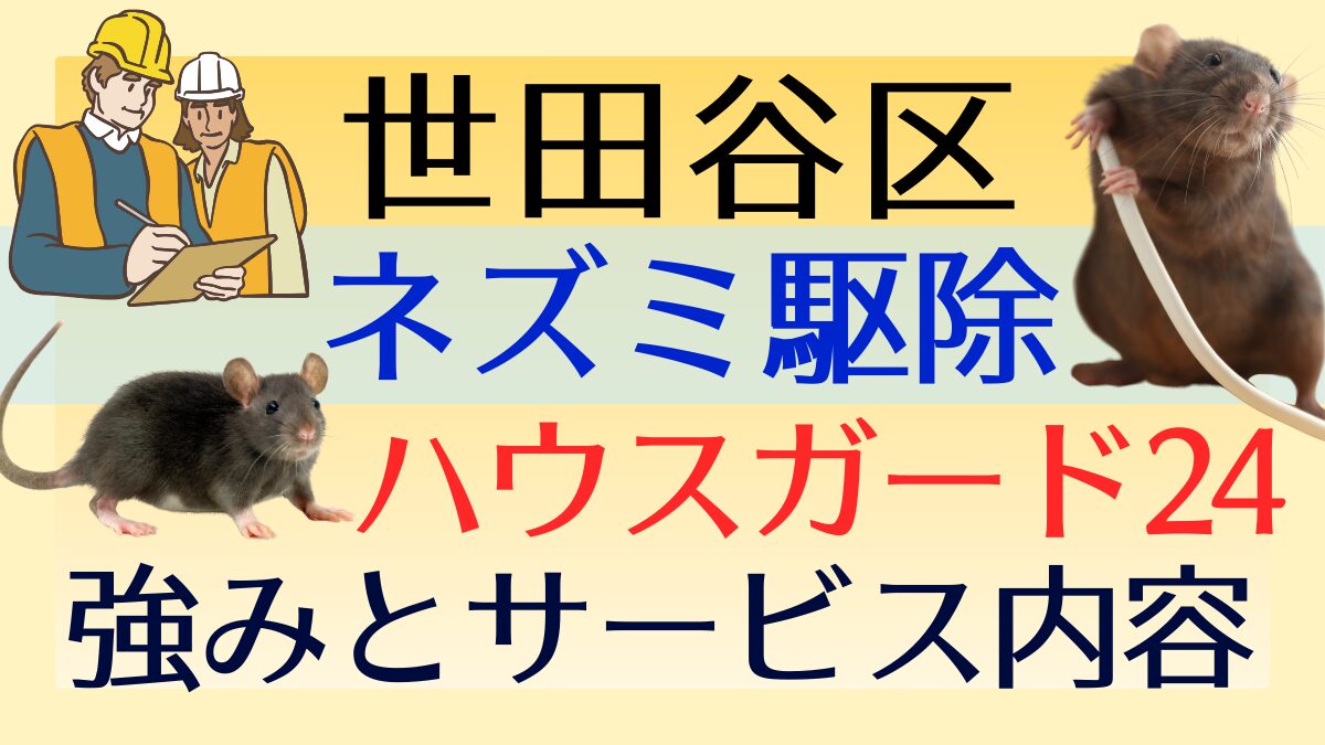ネズミ駆除業者【世田谷区】ハウスガード24の強みとサービス内容を徹底解説