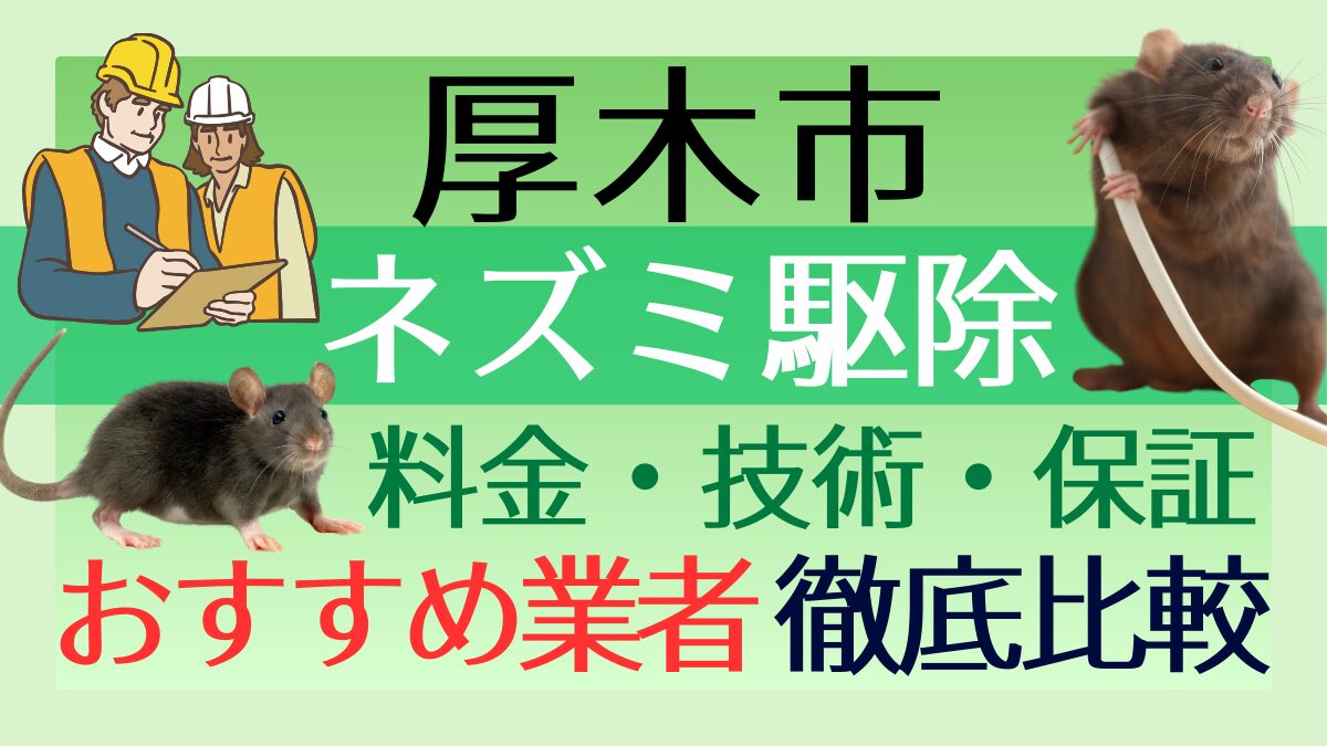 厚木市のネズミ駆除業者おすすめ7選!料金や技術・保証を徹底比較