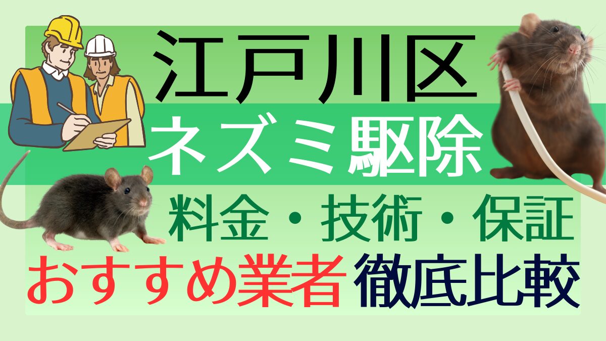江戸川区のネズミ駆除業者おすすめ7選!料金や技術・保証を徹底比較
