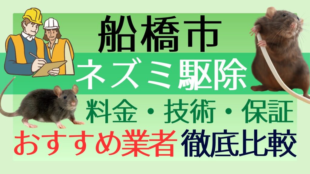 船橋市のネズミ駆除業者おすすめ6選！料金や技術・保証を徹底比較