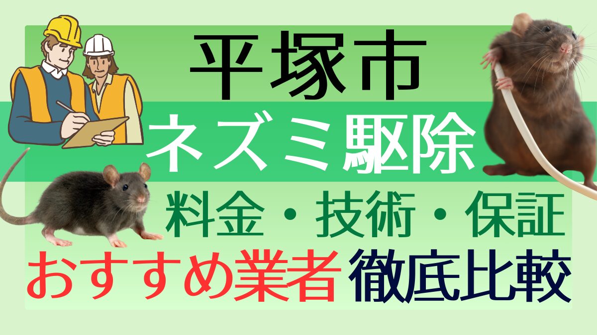 平塚市のネズミ駆除業者おすすめ7選！料金や技術・保証を徹底比較