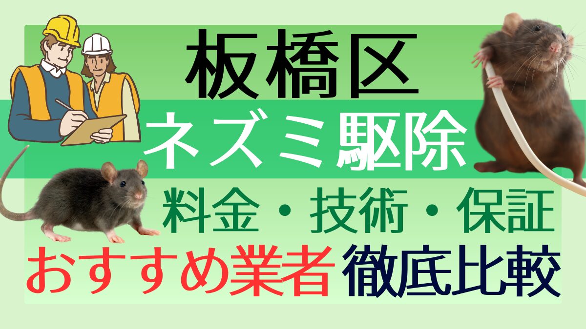 板橋区のネズミ駆除業者おすすめ7選！料金や技術・保証を徹底比較