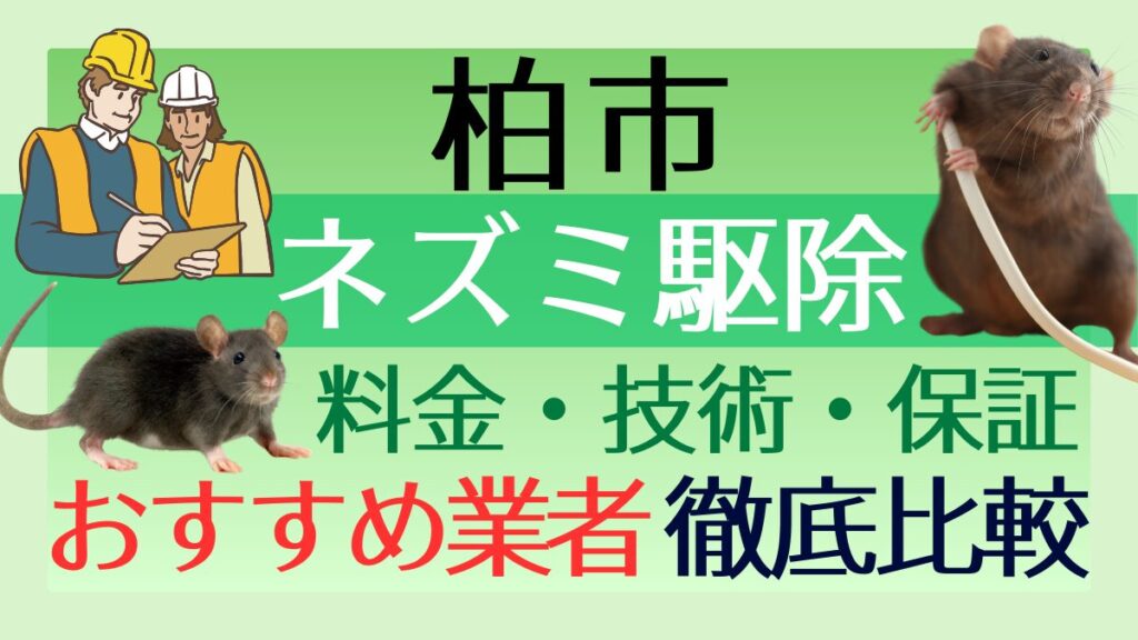 柏市のネズミ駆除業者おすすめ6選！料金や技術・保証を徹底比較
