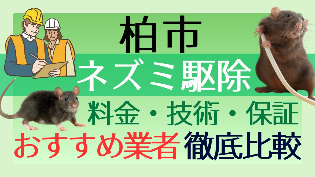 柏市のネズミ駆除業者おすすめ6選！料金や技術・保証を徹底比較