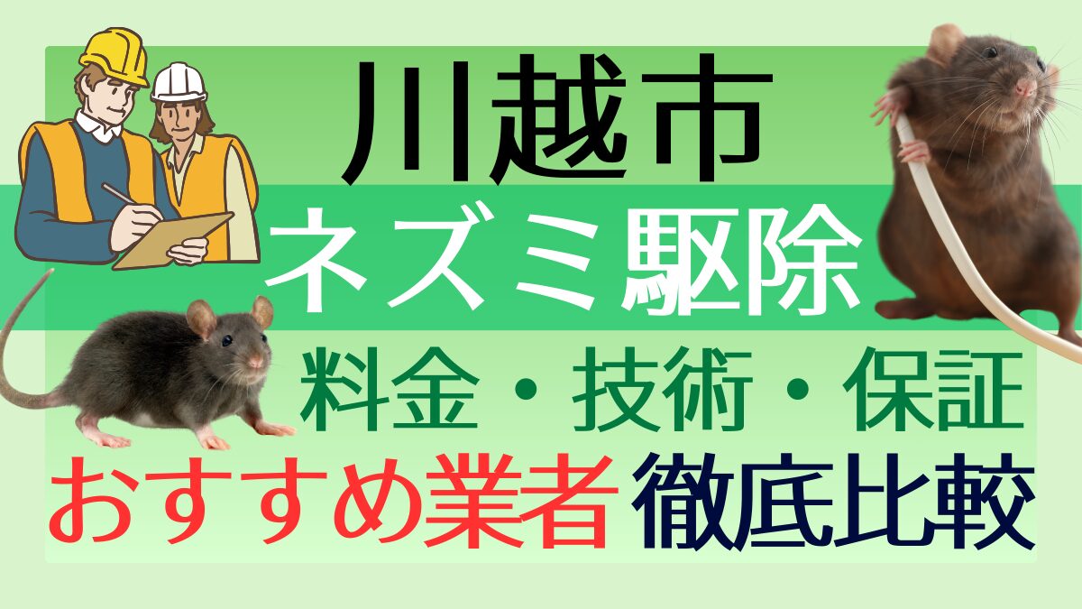 川越市のネズミ駆除業者おすすめ7選！料金や技術・保証を徹底比較