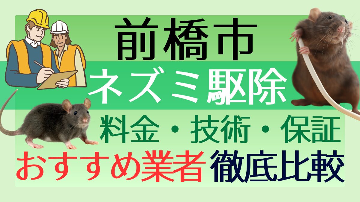 前橋市のネズミ駆除業者おすすめ5選!料金や技術・保証を徹底比較