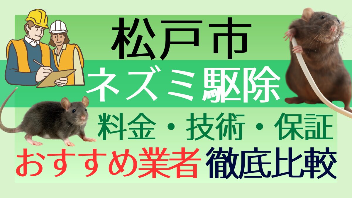 松戸市のネズミ駆除業者おすすめ6選！料金や技術・保証を徹底比較