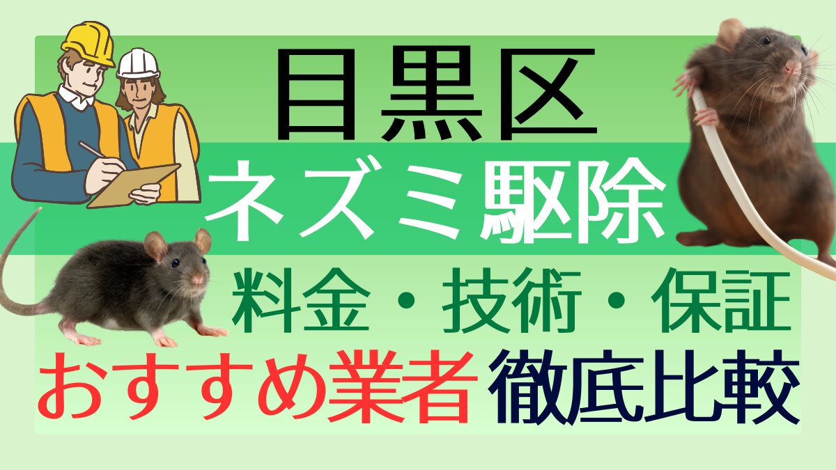 目黒区のネズミ駆除業者おすすめ7選!料金や技術・保証を徹底比較