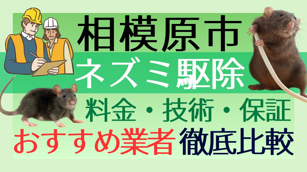 相模原市のネズミ駆除業者おすすめ7選！料金や技術・保証を徹底比較