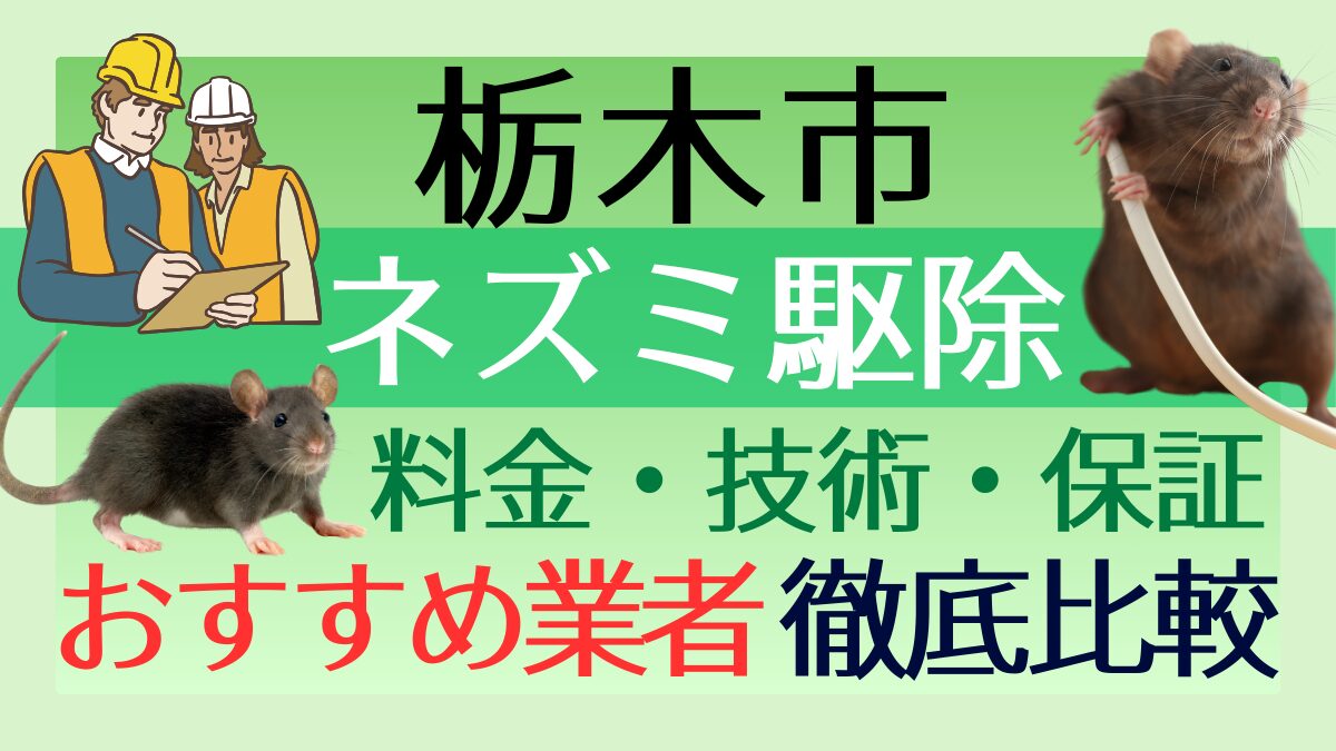 栃木市のネズミ駆除業者おすすめ5選！料金や技術・保証を徹底比較