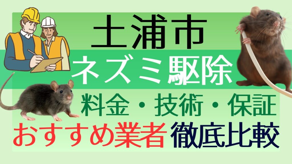 土浦市のネズミ駆除業者おすすめ5選！料金や技術・保証を徹底比較