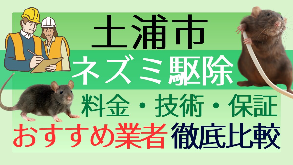 土浦市のネズミ駆除業者おすすめ5選！料金や技術・保証を徹底比較