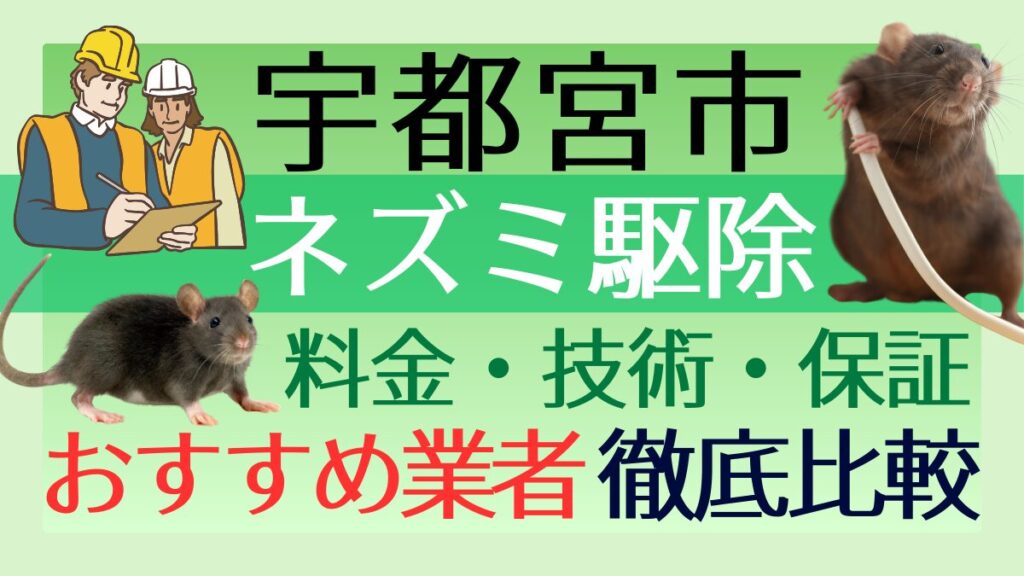 宇都宮市のネズミ駆除業者おすすめ5選！料金や技術・保証を徹底比較