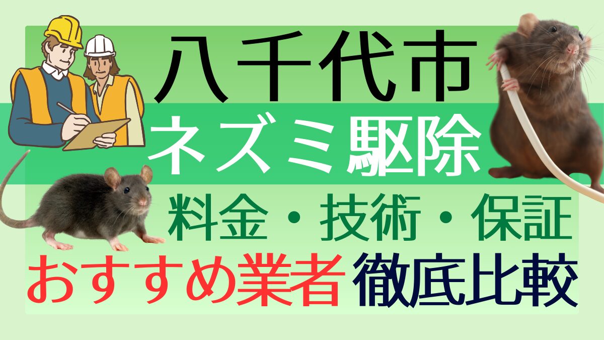 八千代市のネズミ駆除業者おすすめ6選!料金や技術・保証を徹底比較