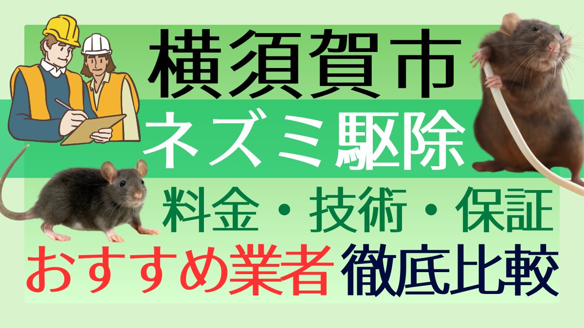 横須賀市のネズミ駆除業者おすすめ7選！料金や技術・保証を徹底比較