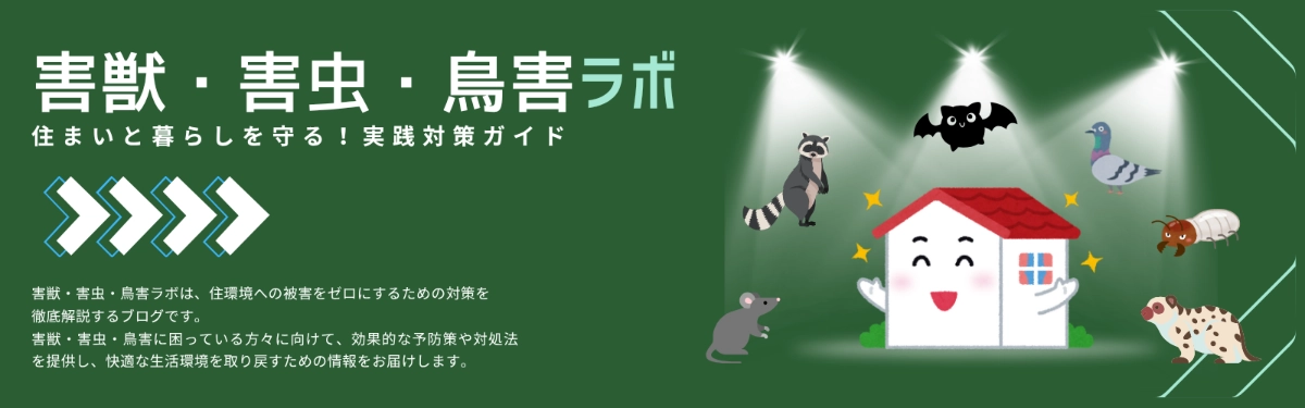 鳩のお悩み解決ラボ