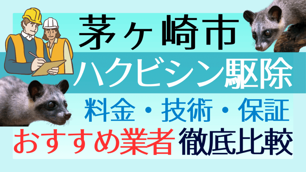 茅ヶ崎市のハクビシン駆除業者おすすめ8選！料金や技術・保証を徹底比較
