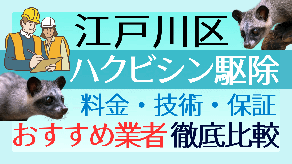 江戸川区のハクビシン駆除業者おすすめ8選！料金や技術・保証を徹底比較