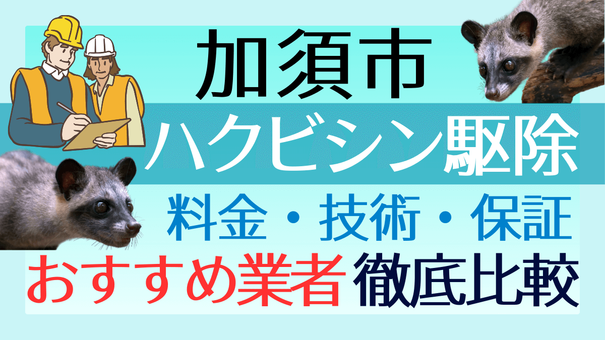 加須市のハクビシン駆除業者おすすめ8選！料金や技術・保証を徹底比較