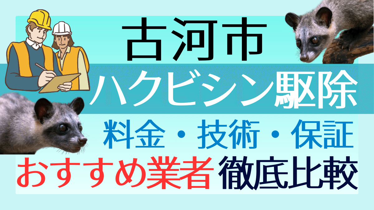 古河市のハクビシン駆除業者おすすめ5選!料金や技術・保証を徹底比較