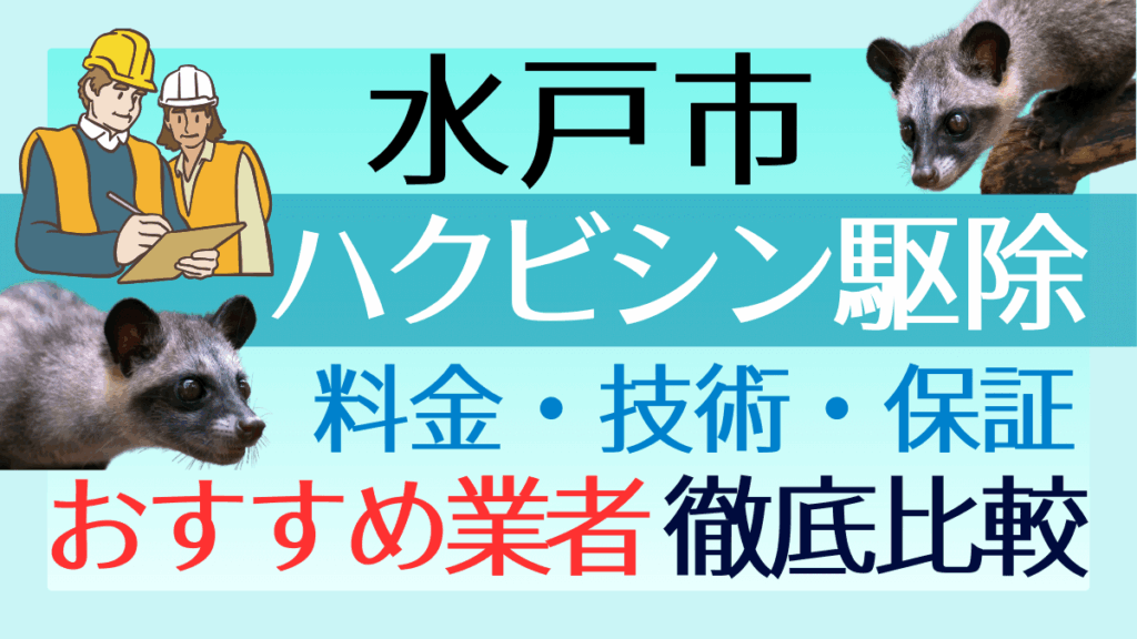 水戸市のハクビシン駆除業者おすすめ5選！料金や技術・保証を徹底比較