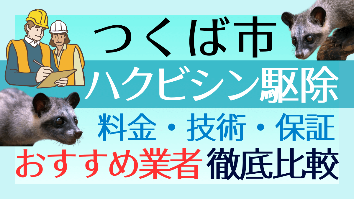 つくば市のハクビシン駆除業者おすすめ5選！料金や技術・保証を徹底比較