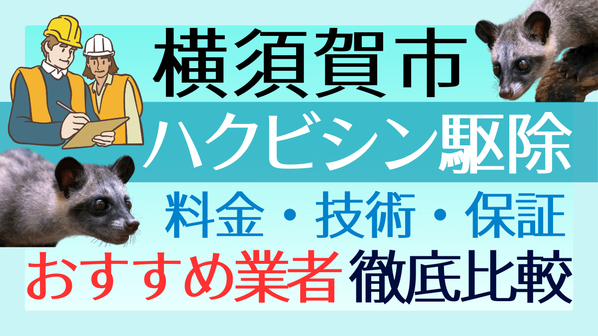 横須賀市のハクビシン駆除業者おすすめ8選！料金や技術・保証を徹底比較