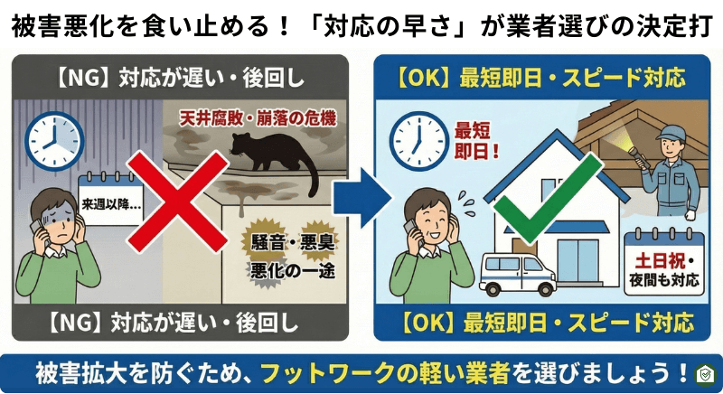 対応が遅れて被害が悪化するケースと、最短即日対応で被害拡大を防ぐハクビシン駆除業者を比較した図解