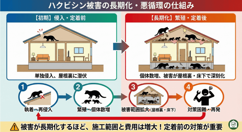 ハクビシンの繁殖による被害拡大と悪循環の図解。屋根裏・床下への定着、個体数増加に伴う施工範囲と費用の増大。