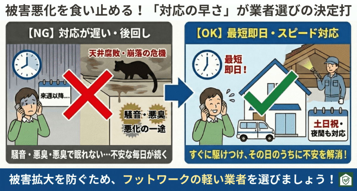対応が遅れて被害が悪化するケースと、最短即日対応で被害拡大を防ぐハクビシン駆除業者を比較した図解