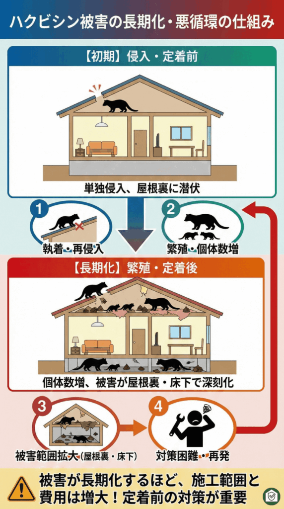 ハクビシンの繁殖による被害拡大と悪循環の図解。屋根裏・床下への定着、個体数増加に伴う施工範囲と費用の増大。