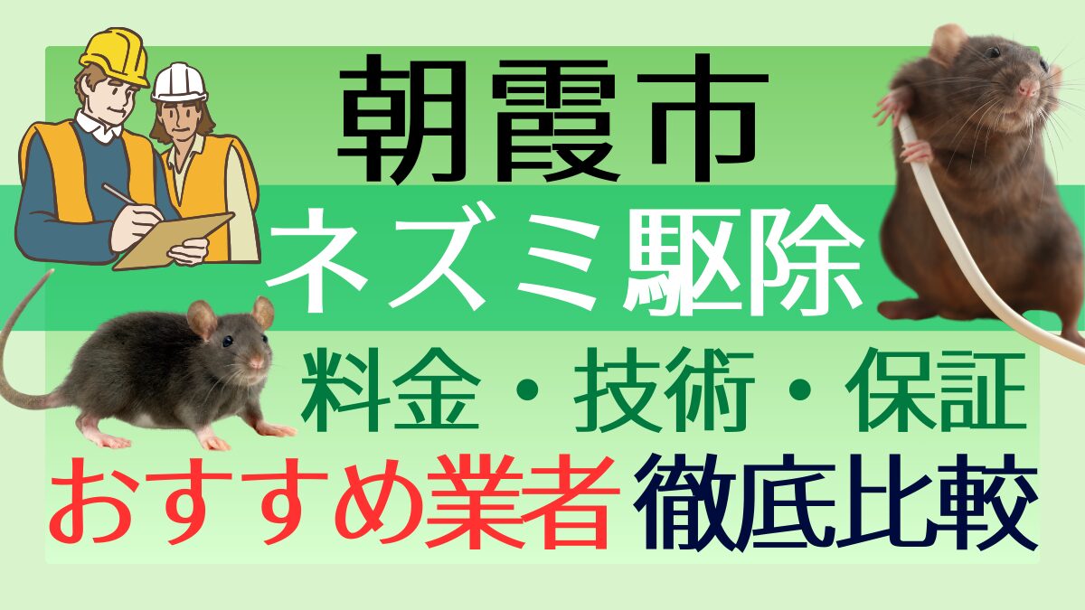 朝霞市のネズミ駆除業者おすすめ7選!料金や技術・保証を徹底比較