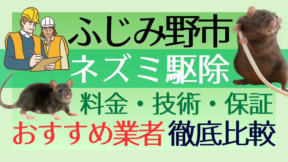 ふじみ野市のネズミ駆除業者おすすめ7選！料金や技術・保証を徹底比較