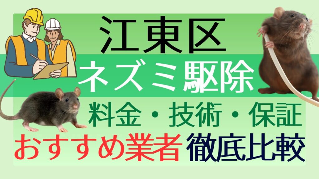 江東区のネズミ駆除業者おすすめ7選！料金や技術・保証を徹底比較