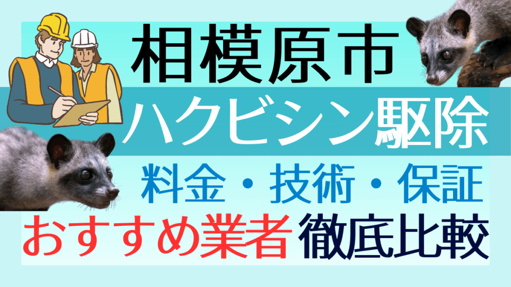 相模原市のハクビシン駆除業者おすすめ8選！料金や技術・保証を徹底比較