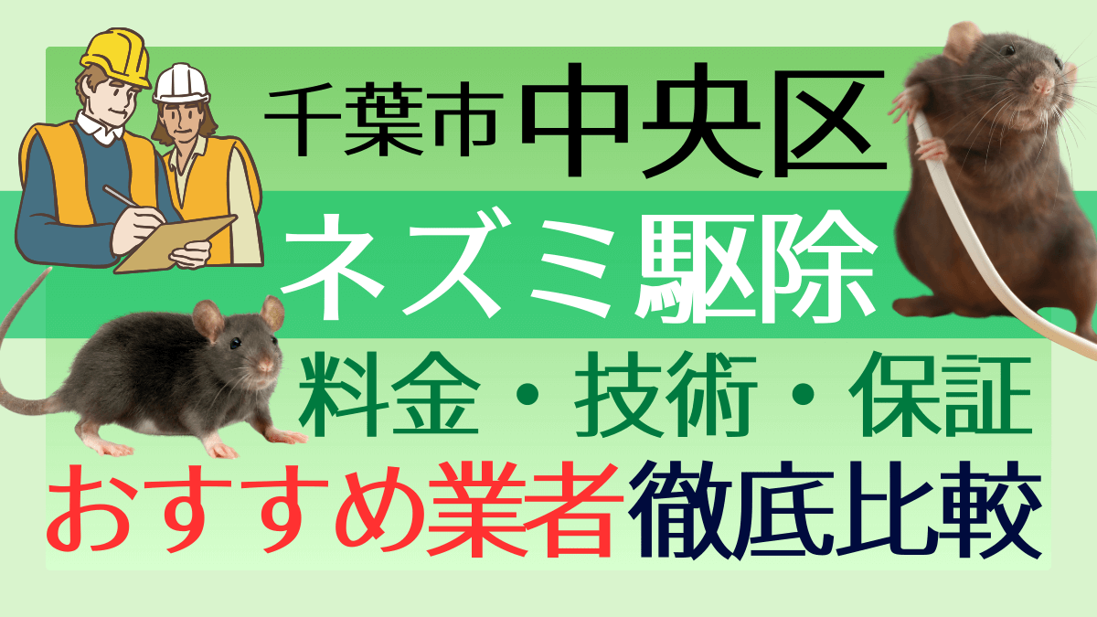 千葉市中央区のネズミ駆除業者おすすめ7選！料金や技術・保証を徹底比較