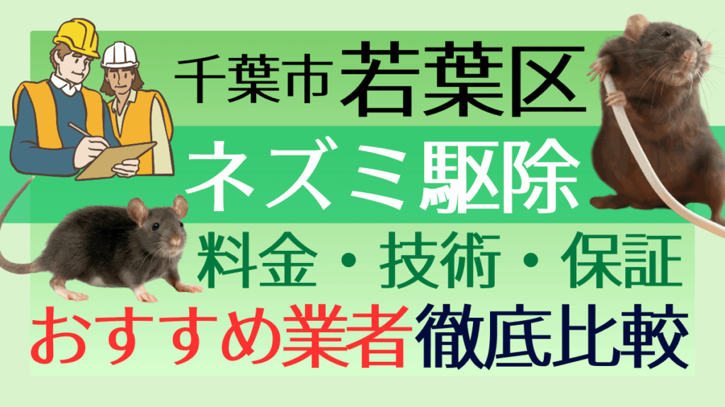 千葉市若葉区のネズミ駆除業者おすすめ7選！料金や技術・保証を徹底比較