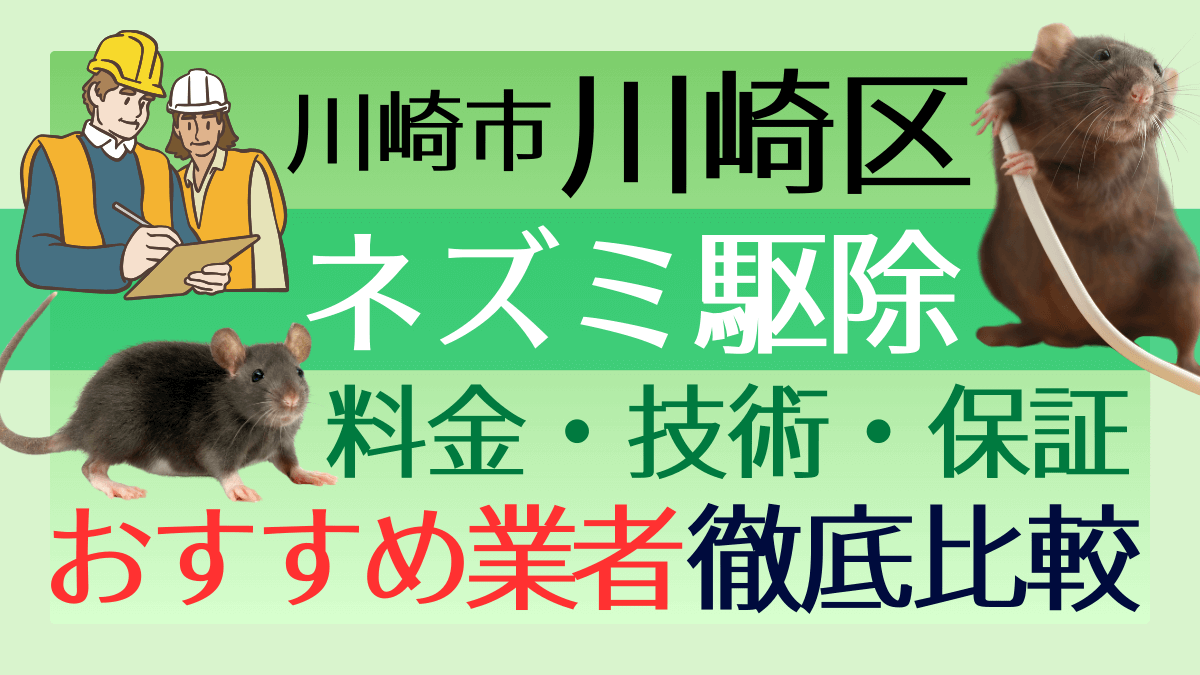川崎市川崎区のネズミ駆除業者おすすめ7選！料金や技術・保証を徹底比較