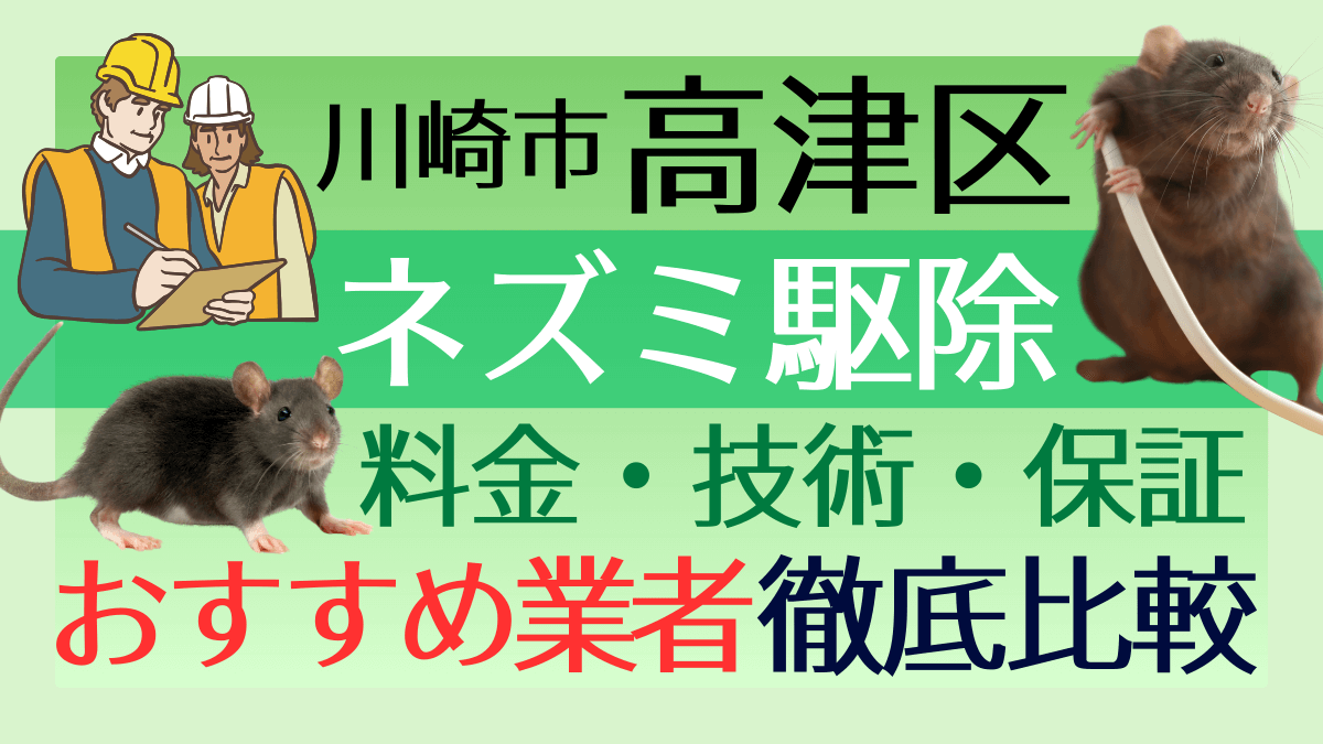川崎市高津区のネズミ駆除業者おすすめ7選！料金や技術・保証を徹底比較