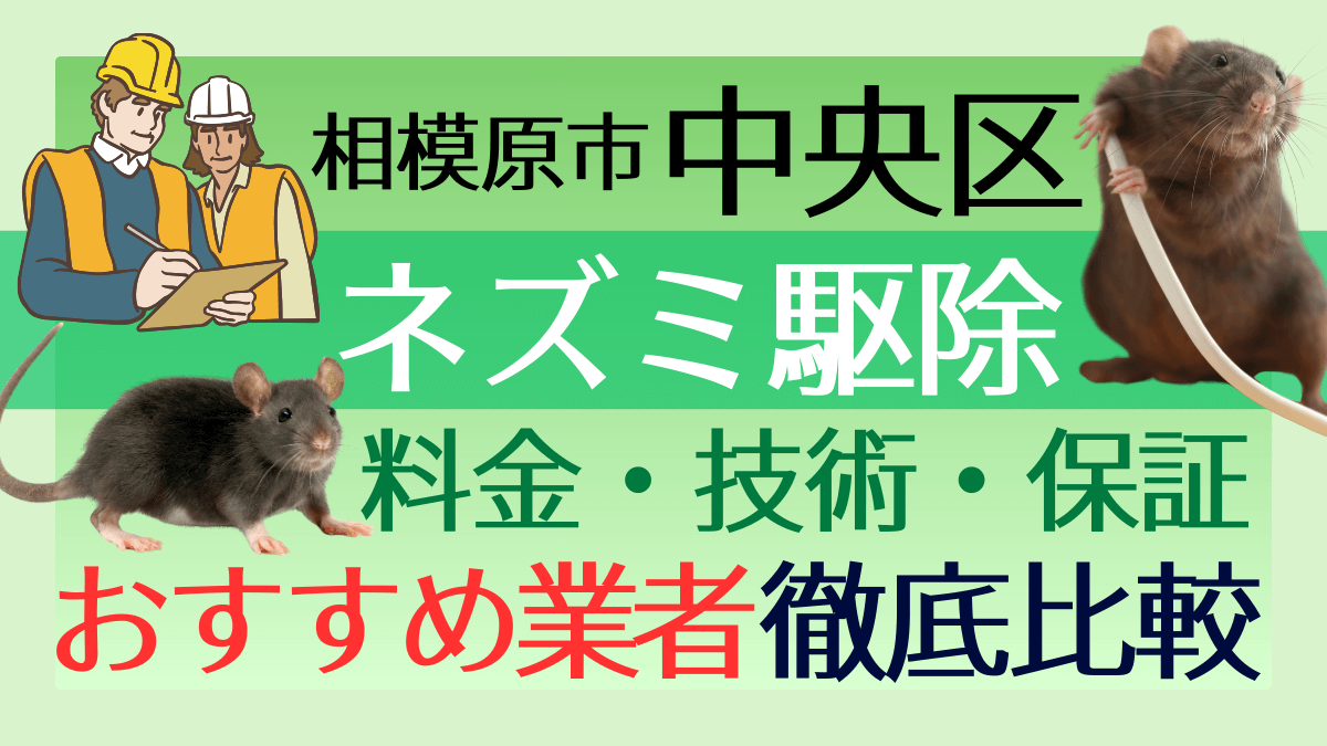 相模原市中央区のネズミ駆除業者おすすめ8選!料金や技術・保証を徹底比較