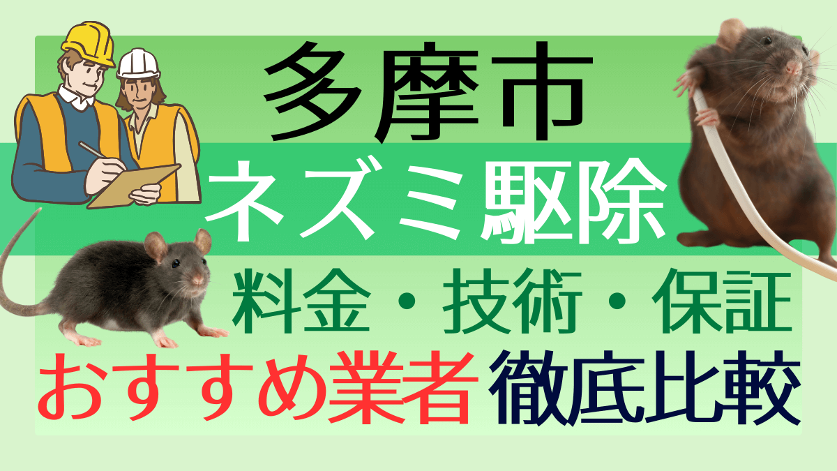 多摩市のネズミ駆除業者おすすめ8選！料金や技術・保証を徹底比較
