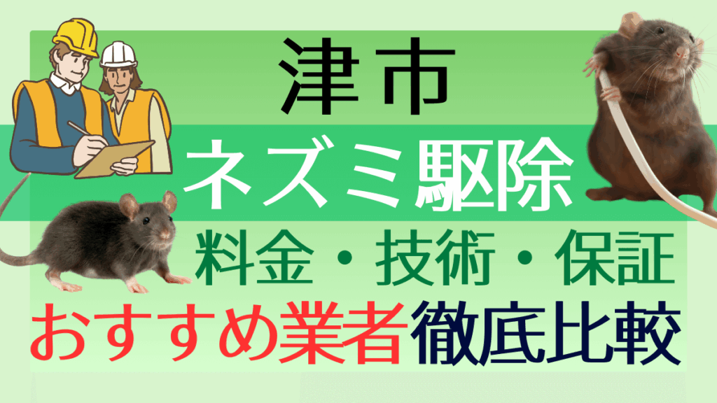 津市のネズミ駆除業者おすすめ6選！料金や技術・保証を徹底比較