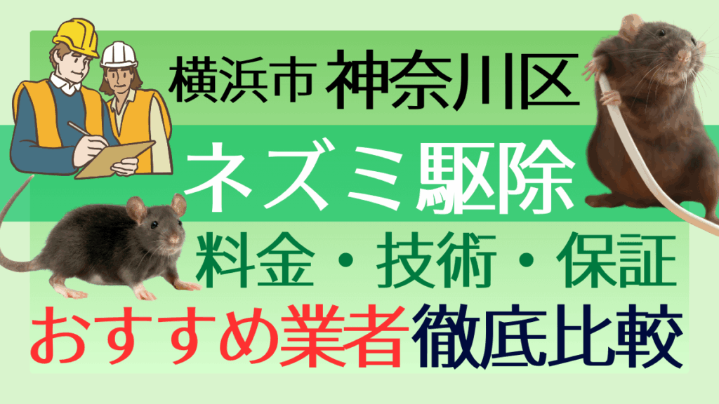 横浜市神奈川区のネズミ駆除業者おすすめ7選！料金や技術・保証を徹底比較