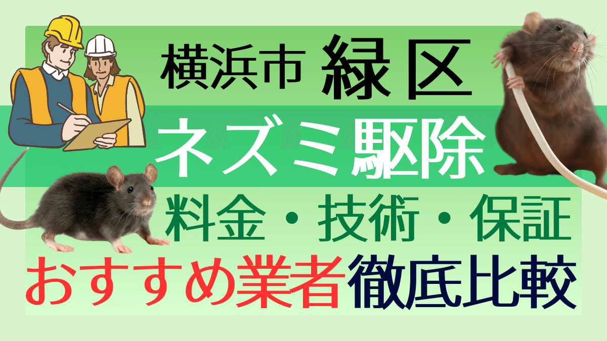 横浜市緑区のネズミ駆除業者おすすめ7選！料金や技術・保証を徹底比較