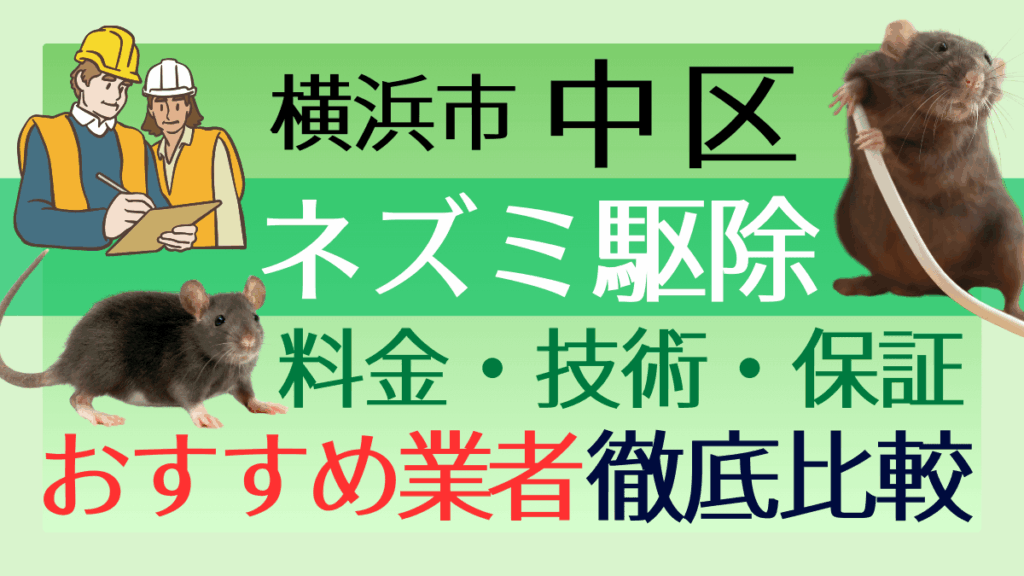 横浜市中区のネズミ駆除業者おすすめ7選！料金や技術・保証を徹底比較