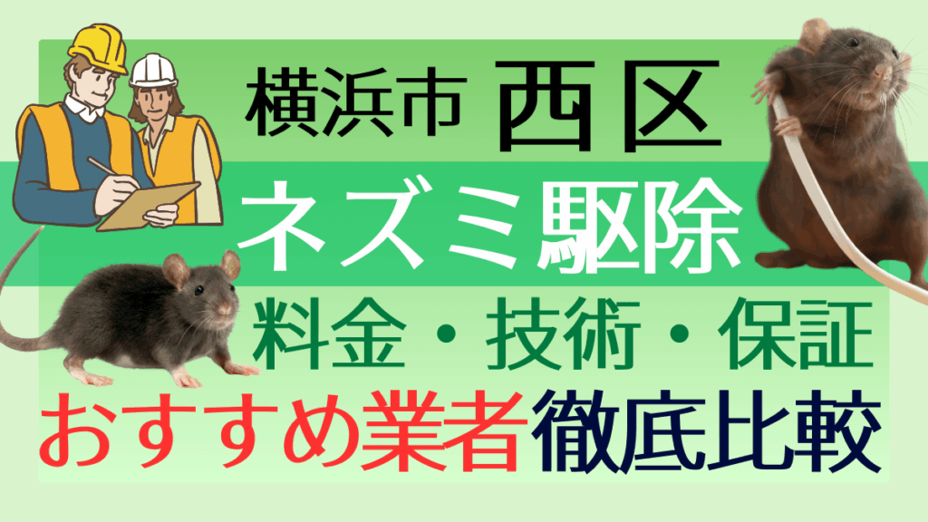 横浜市西区のネズミ駆除業者おすすめ7選！料金や技術・保証を徹底比較